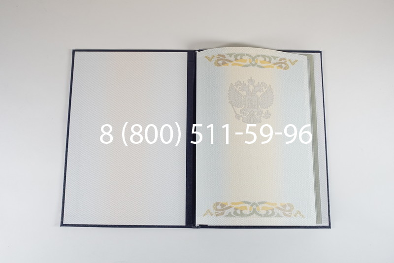 Диплом о высшем образовании 2003-2009 годов в Владикавказе